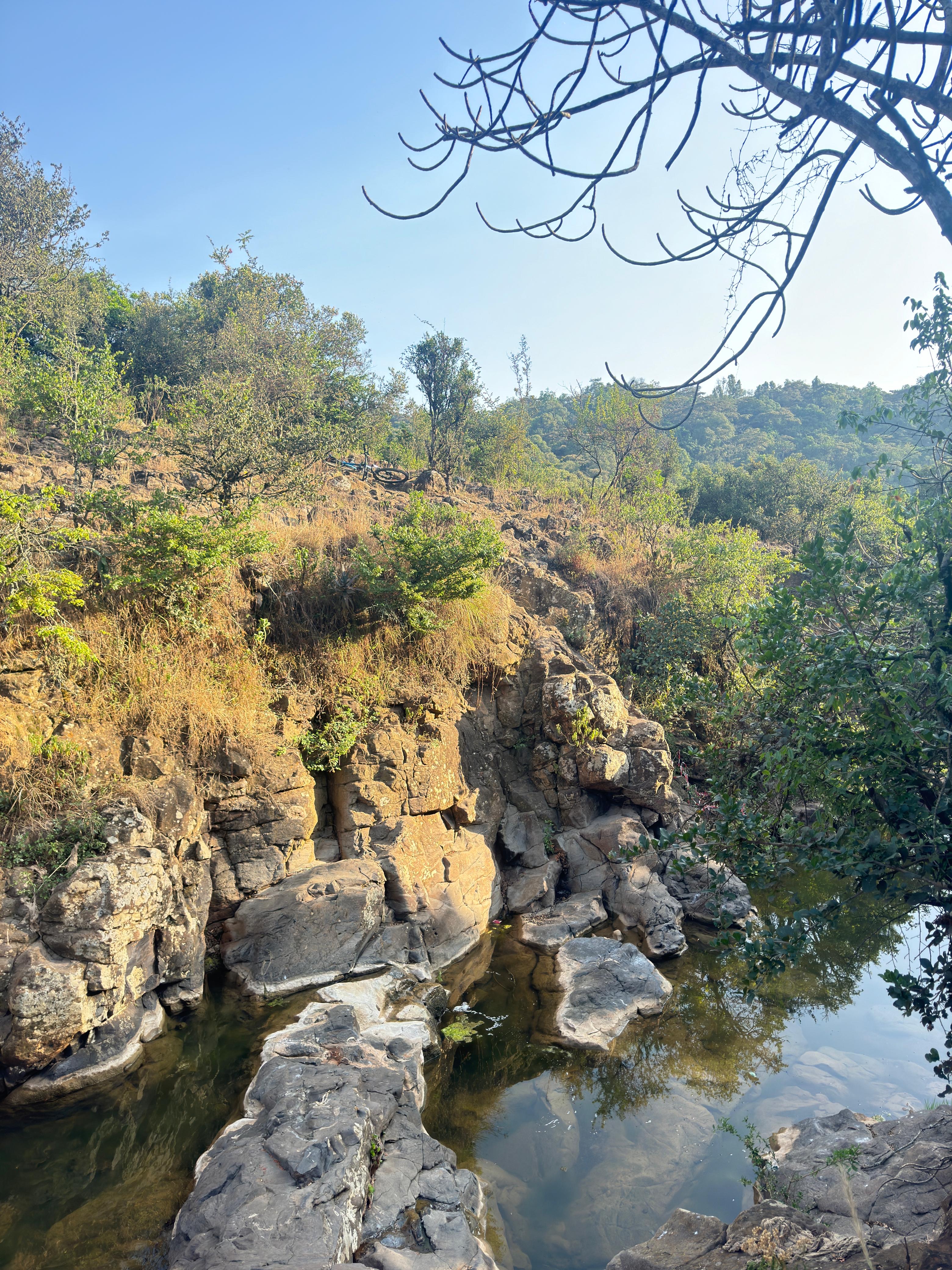 Ololua Forest Canopy